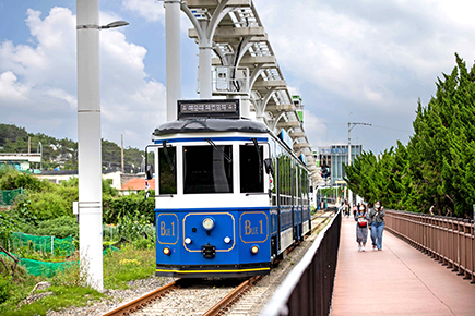 海岸列車乗車体験