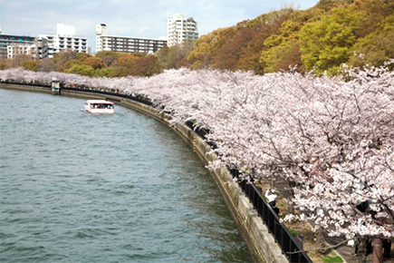 毛馬桜之宮公園