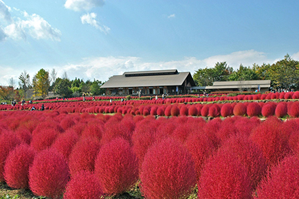 みちのく杜の湖畔公園