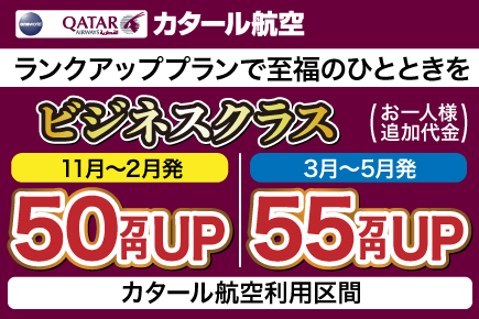 ビジネスクラス(50万円)(55万円)