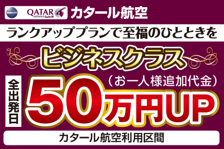 ビジネスクラス(50万円)