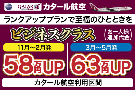 ビジネスクラス(85万円)(63万円)