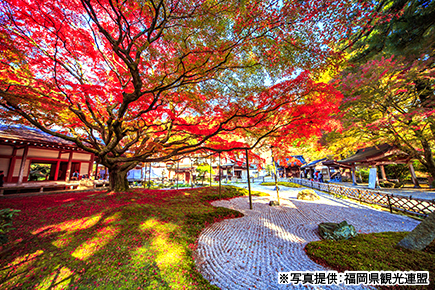 雷山千如寺大悲王院