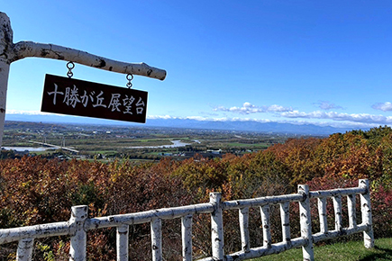 十勝が丘展望台