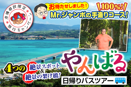 4つの絶景の架け橋と4つ沖縄絶景スポットを巡るやんばる