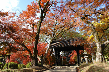 秋月城跡