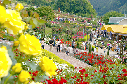 島田市バラの丘公園