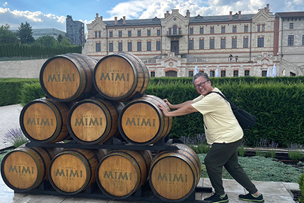 カステル・ミミ