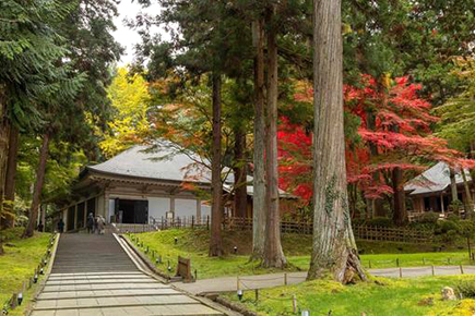 《世界遺産》中尊寺
