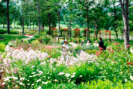 大雪 森のガーデン