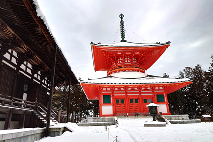 《世界遺産》壇上伽藍