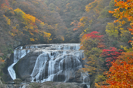 袋田の滝
