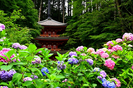 岩船寺