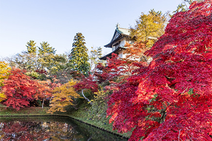 弘前公園