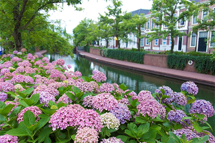 ハウステンボス