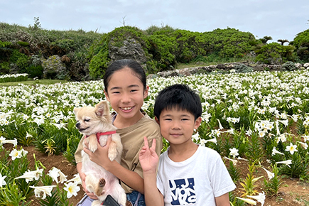 伊江島ゆり祭り