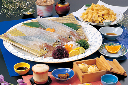 呼子のイカの活造り定食