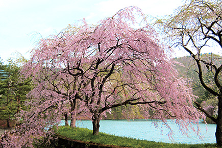 岩神ふれあいの森