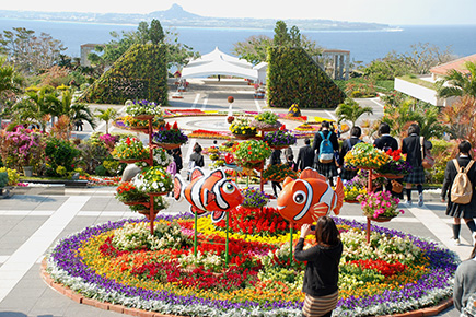 美ら海花祭り