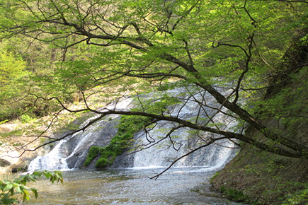 釜淵の滝
