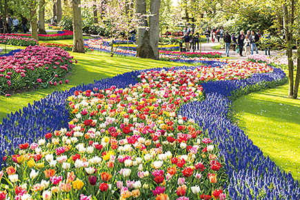 キューケンホフ公園