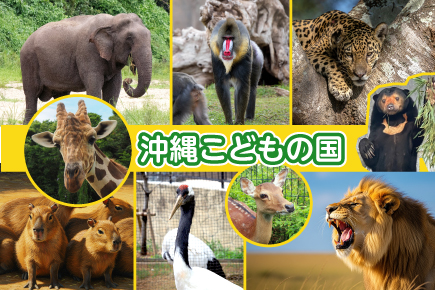 沖縄こどもの国