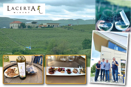 LACERTAワイナリー