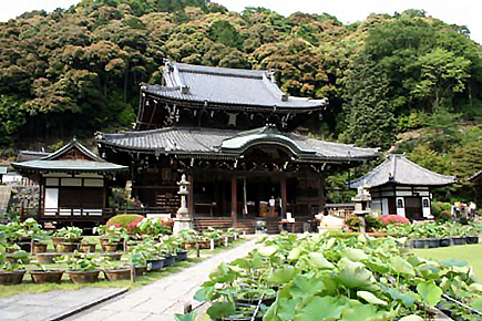 三室戸寺