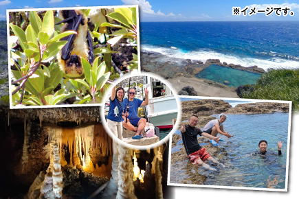 オプショナルツアー(一例)