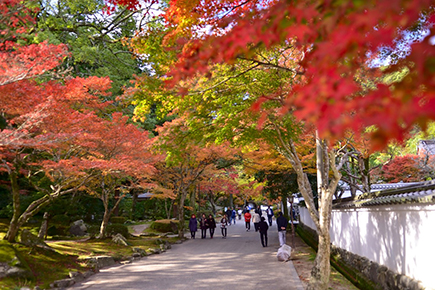 紅葉谷公園