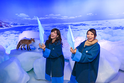 オホーツク流氷館