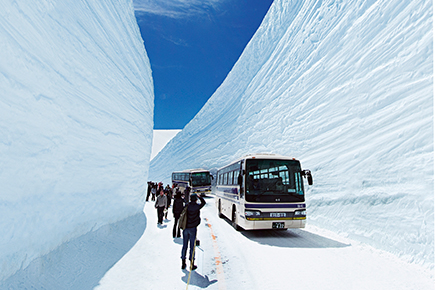 雪の大谷ウォーク