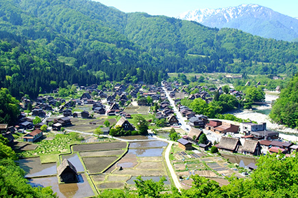 《世界遺産》白川郷_春