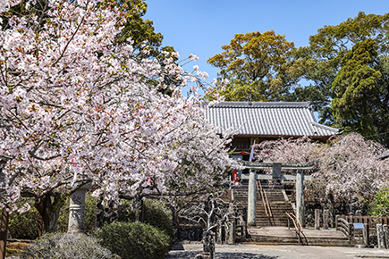 《世界遺産》松陰神社