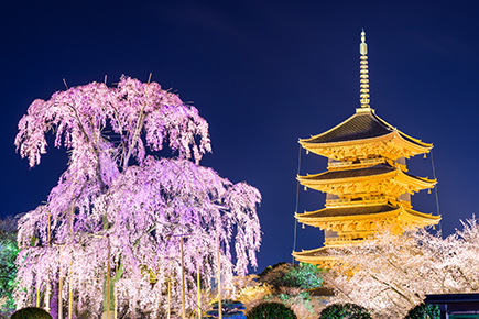 《世界遺産》東寺