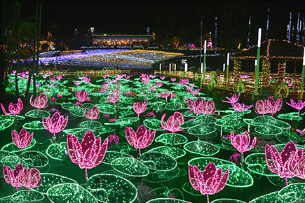 東南植物楽園イルミネーション