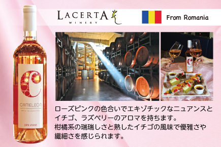 【プレゼント】ワインのご紹介♪