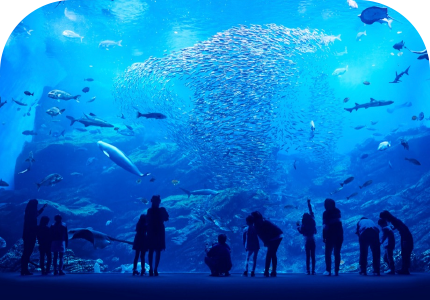 仙台うみの杜水族館