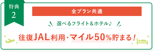 全プラン共通:選べるフライト&
ホテル