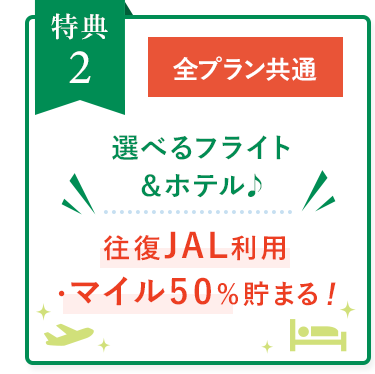 全プラン共通:選べるフライト&
ホテル