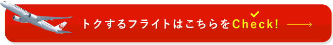 フライトチェック