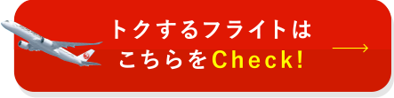 フライトチェック