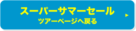 ツアーページへ戻る