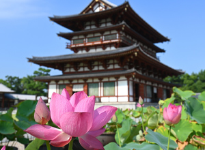 ロータスロードと世界遺産をめぐる奈良の夏旅