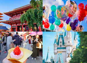 東京ディズニーリゾートを東京観光をＷで満喫