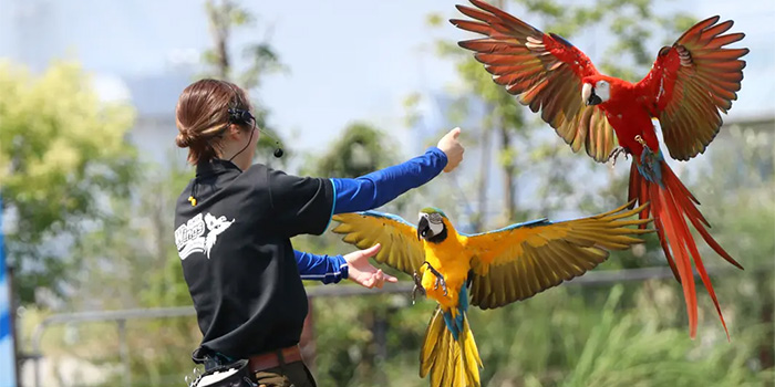 ルスツリゾート