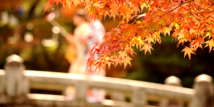 京都 着物着付け体験