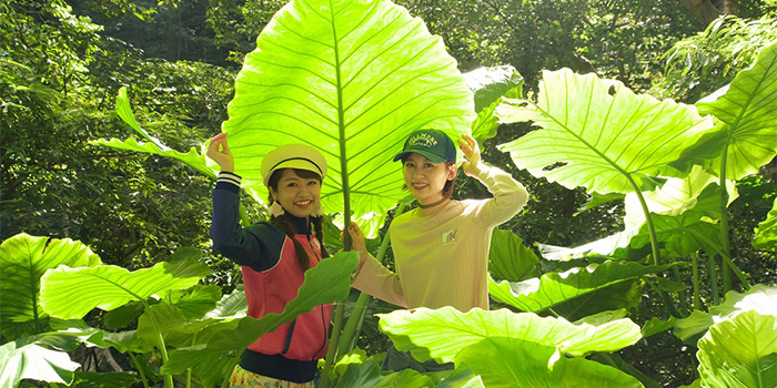 金作原トレッキング