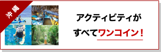 アクティビティが全てワンコイン