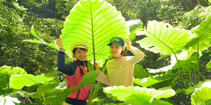 金作原トレッキング